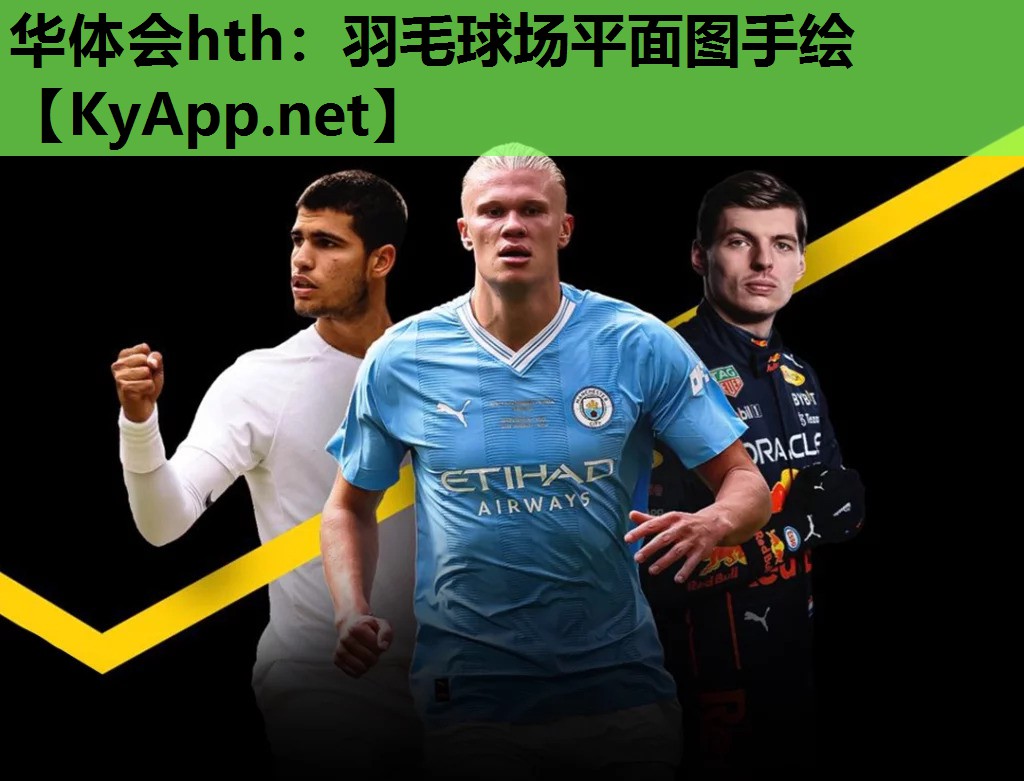 华体会hth：羽毛球场平面图手绘