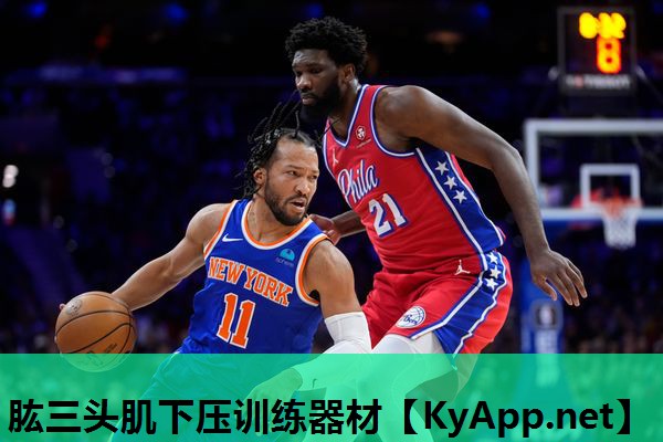 肱三头肌下压训练器材 肱三头肌下压训练器材