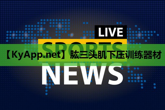 肱三头肌下压训练器材 肱三头肌下压训练器材