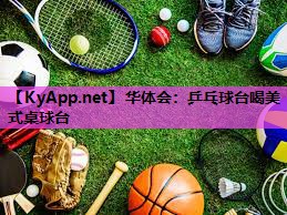 乒乓球台喝美式桌球台 乒乓球台喝美式桌球台
