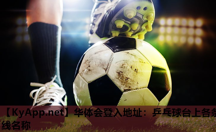乒乓球台上各条线名称 乒乓球台上各条线名称