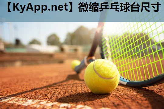 微缩乒乓球台尺寸 微缩乒乓球台尺寸