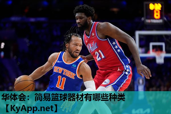 简易篮球器材有哪些种类 简易篮球器材有哪些种类