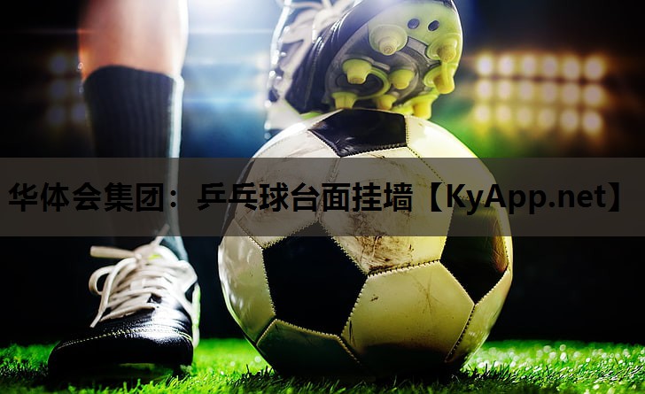 乒乓球台面挂墙 乒乓球台面挂墙