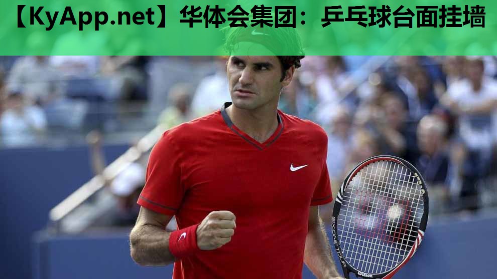 乒乓球台面挂墙 乒乓球台面挂墙