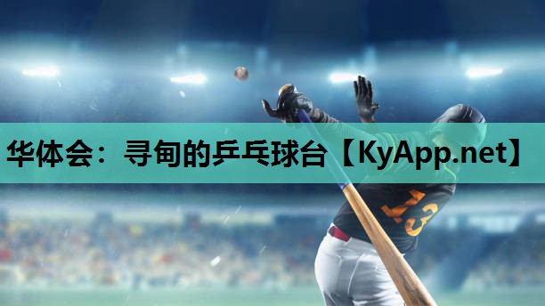 寻甸的乒乓球台 寻甸的乒乓球台