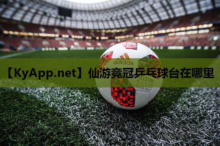 仙游竞冠乒乓球台在哪里 仙游竞冠乒乓球台在哪里