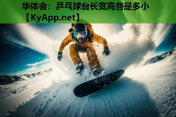 乒乓球台长宽高各是多小 乒乓球台长宽高各是多小