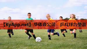 乒乓球台垫高 乒乓球台垫高