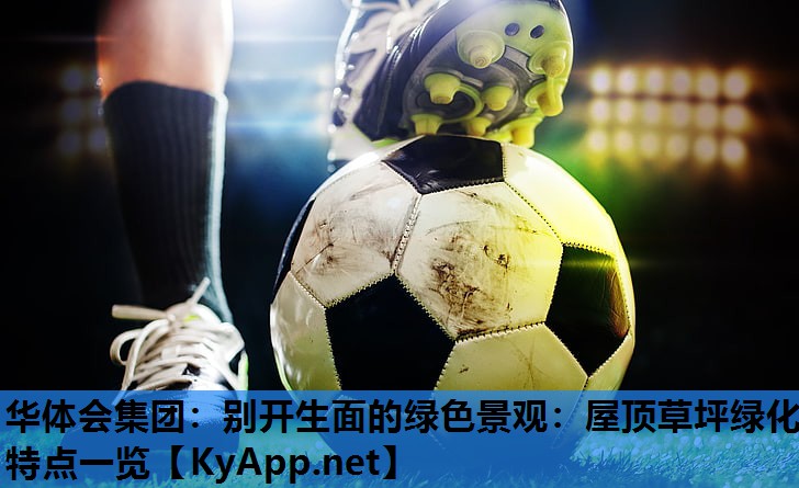 别开生面的绿色景观:屋顶草坪绿化特点一览 别开生面的绿色景观:屋顶草坪绿化特点一览