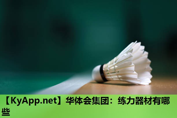 练力器材有哪些 练力器材有哪些