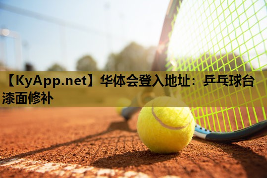 乒乓球台漆面修补 乒乓球台漆面修补