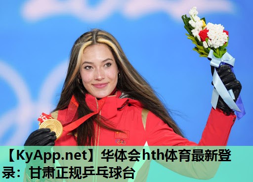 甘肃正规乒乓球台 甘肃正规乒乓球台