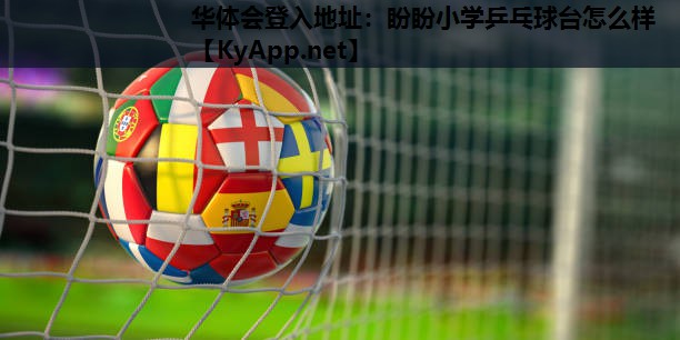 盼盼小学乒乓球台怎么样 盼盼小学乒乓球台怎么样