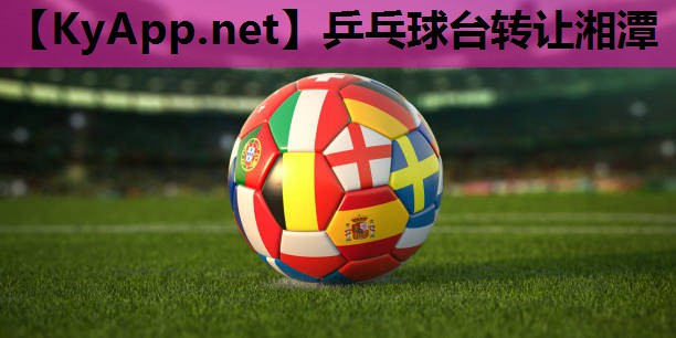 乒乓球台转让湘潭 乒乓球台转让湘潭