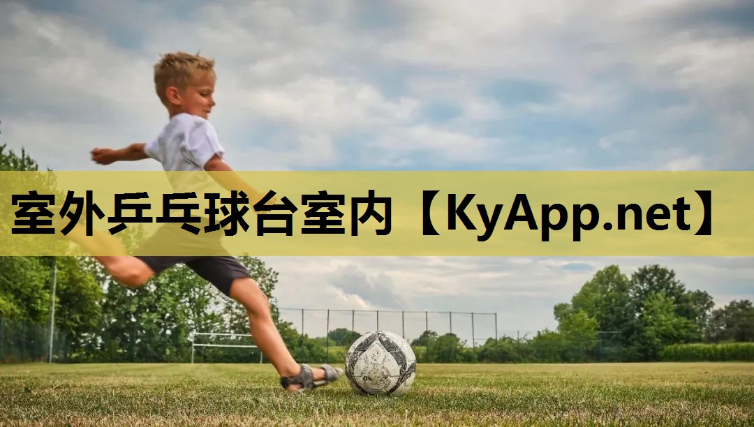 室外乒乓球台室内 室外乒乓球台室内