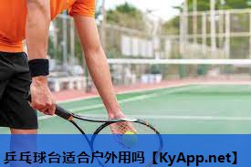 乒乓球台适合户外用吗 乒乓球台适合户外用吗