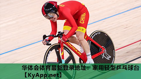 家用轻型乒乓球台 家用轻型乒乓球台
