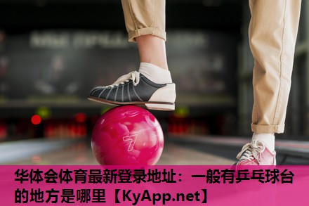 一般有乒乓球台的地方是哪里 一般有乒乓球台的地方是哪里