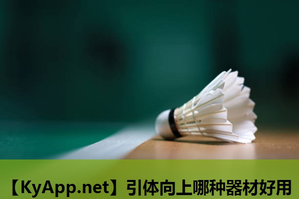 引体向上哪种器材好用 引体向上哪种器材好用