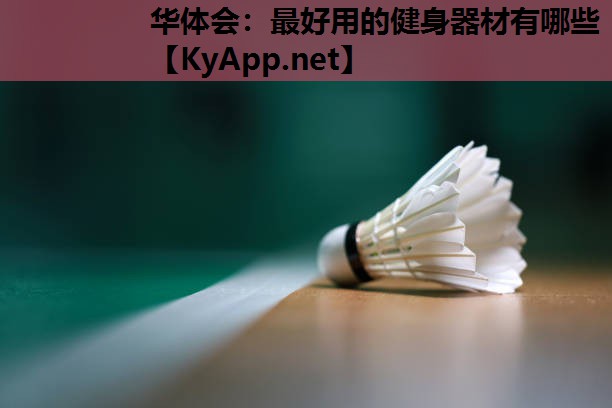 最好用的健身器材有哪些 最好用的健身器材有哪些