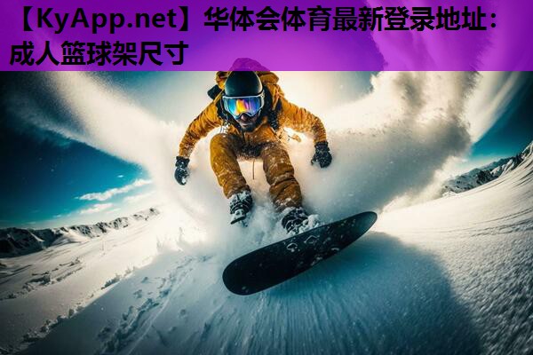 成人篮球架尺寸 成人篮球架尺寸