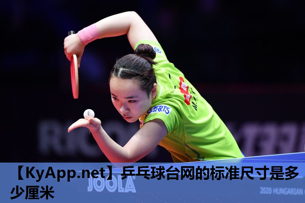 乒乓球台网的标准尺寸是多少厘米 乒乓球台网的标准尺寸是多少厘米