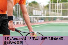 篮球架效果图 篮球架效果图