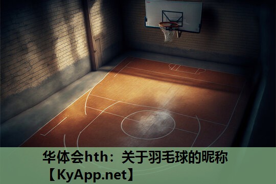 关于羽毛球的昵称 关于羽毛球的昵称