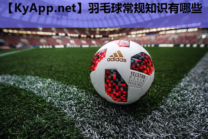 羽毛球常规知识有哪些 羽毛球常规知识有哪些