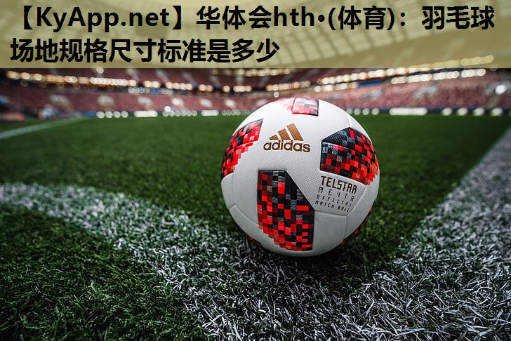 羽毛球场地规格尺寸标准是多少 羽毛球场地规格尺寸标准是多少