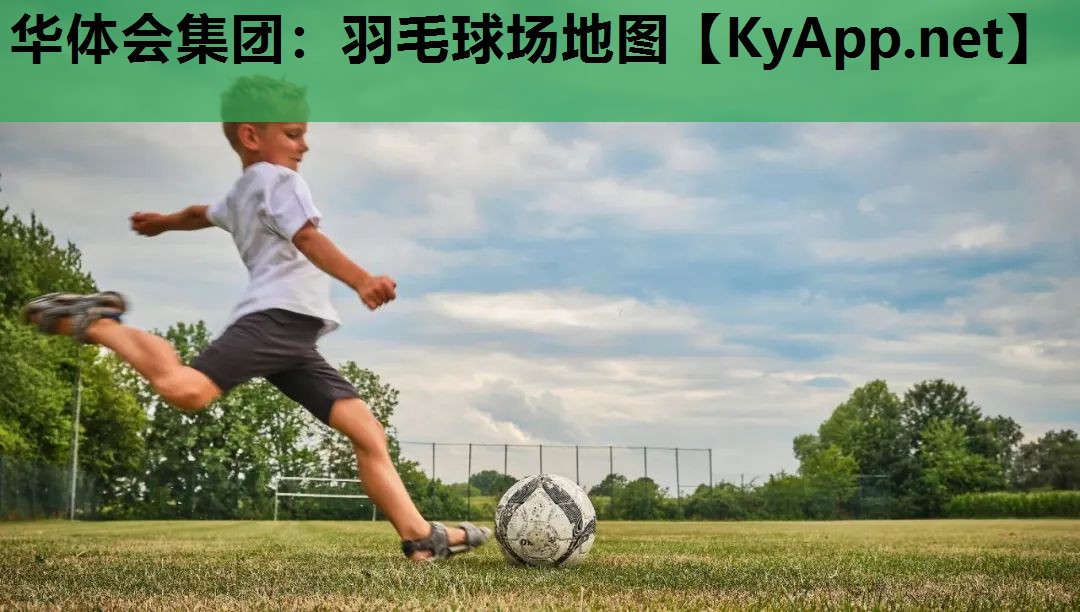 羽毛球场地图 羽毛球场地图