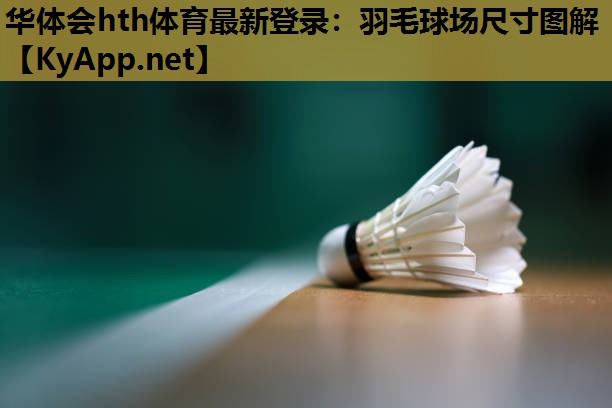 羽毛球场尺寸图解 羽毛球场尺寸图解