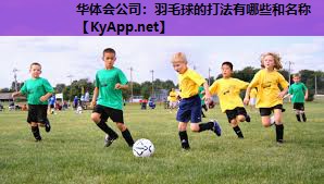 羽毛球的打法有哪些和名称 羽毛球的打法有哪些和名称