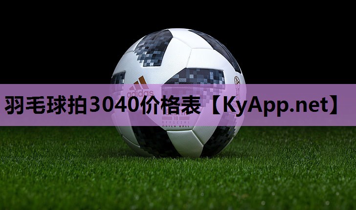 羽毛球拍3040价格表 羽毛球拍3040价格表