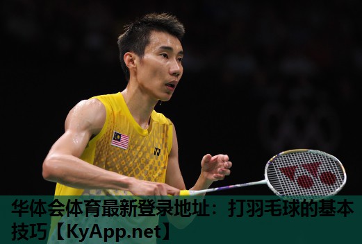 打羽毛球的基本技巧 打羽毛球的基本技巧