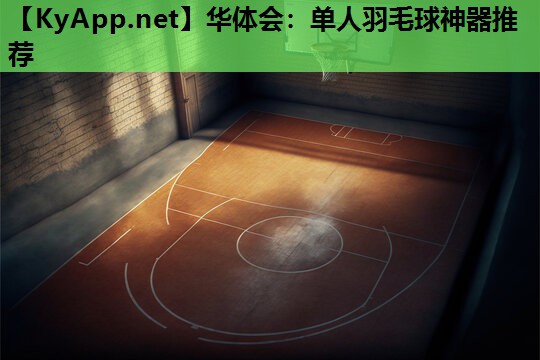 单人羽毛球神器推荐 单人羽毛球神器推荐