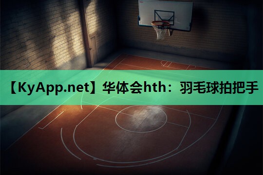 羽毛球拍把手 羽毛球拍把手