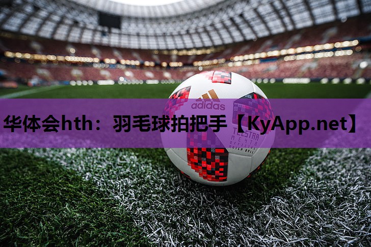 羽毛球拍把手 羽毛球拍把手