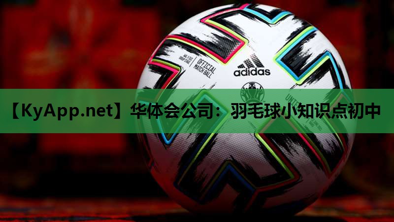 羽毛球小知识点初中 羽毛球小知识点初中