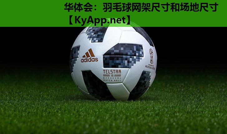 羽毛球网架尺寸和场地尺寸 羽毛球网架尺寸和场地尺寸