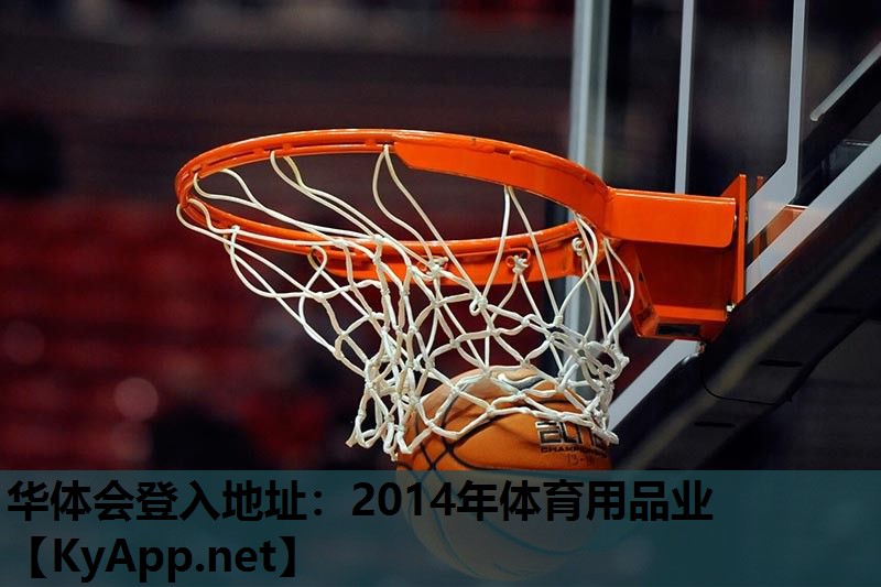 2014年体育用品业 2014年体育用品业