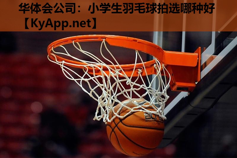小学生羽毛球拍选哪种好 小学生羽毛球拍选哪种好