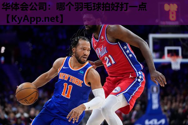 哪个羽毛球拍好打一点 哪个羽毛球拍好打一点