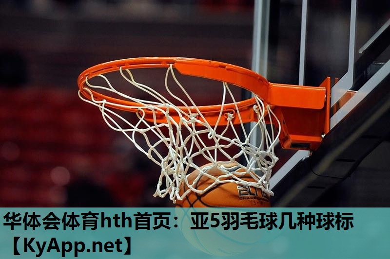 亚5羽毛球几种球标 亚5羽毛球几种球标