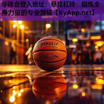 悬挂杠铃:锻炼全身力量的专业器械 悬挂杠铃:锻炼全身力量的专业器械