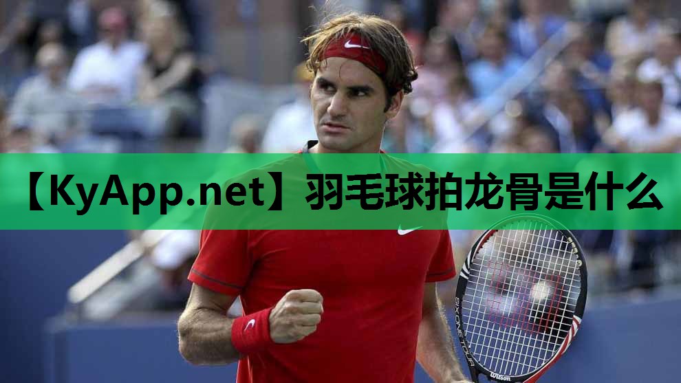 羽毛球拍龙骨是什么 羽毛球拍龙骨是什么