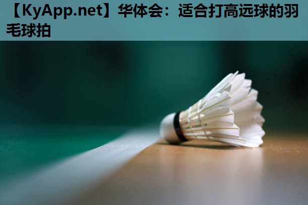 适合打高远球的羽毛球拍 适合打高远球的羽毛球拍