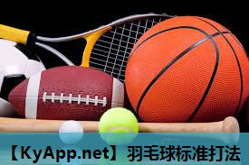羽毛球标准打法 羽毛球标准打法