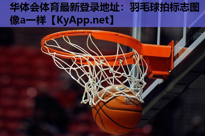 羽毛球拍标志图像a一样 羽毛球拍标志图像a一样